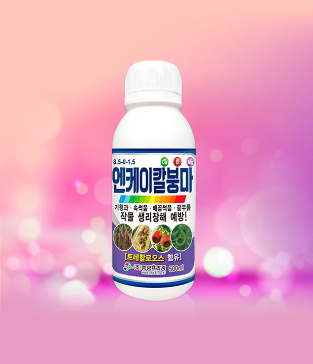 엔케이칼붕마 500ml 제품